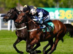 Edwardstone torna indietro negli anni in Celebration Chase | Notizie sulle corse