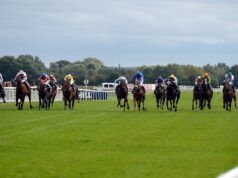 Oggi su Sky Sports Racing: Seven Questions e Dyonisos si contendono il Silver Trophy a Ripon | Notizie sulle corse