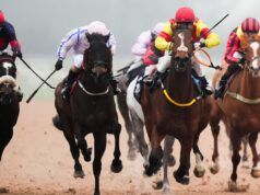 Oggi su Sky Sports Racing: Azione per tutte le stagioni da Southwell | Notizie sulle corse